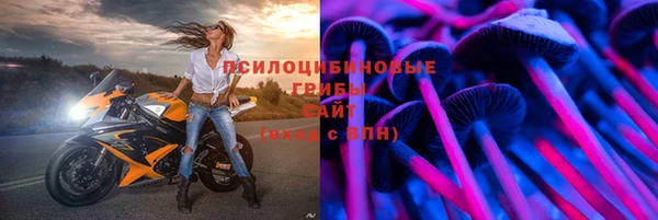 spice Абаза