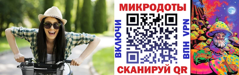 MEGA онион  где продают   Камень-на-Оби  Галлюциногенные грибы Cubensis 